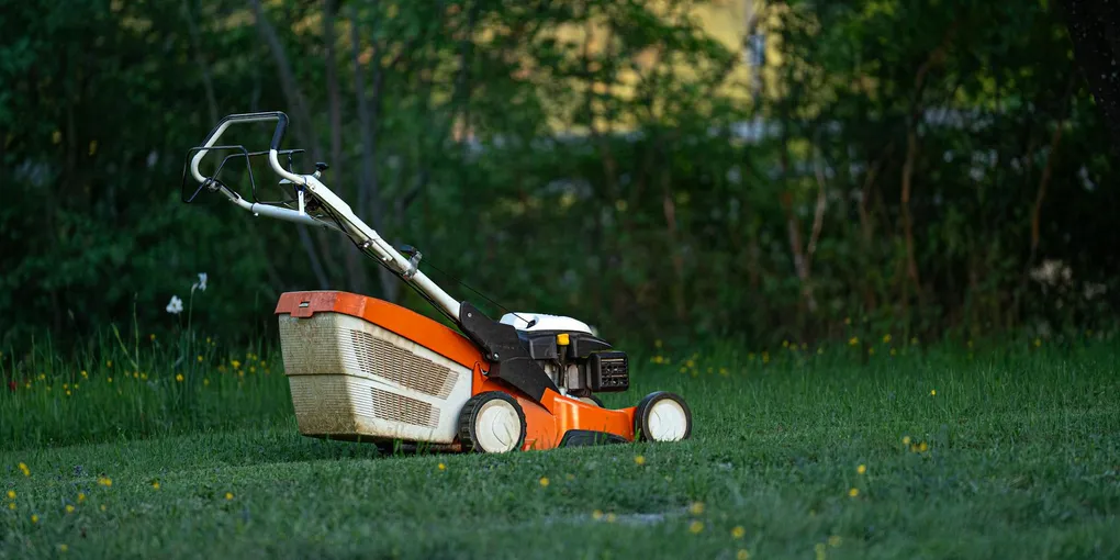 Best Lawn Mowers for Homeowners in 2026: Battery, Gas, Robot