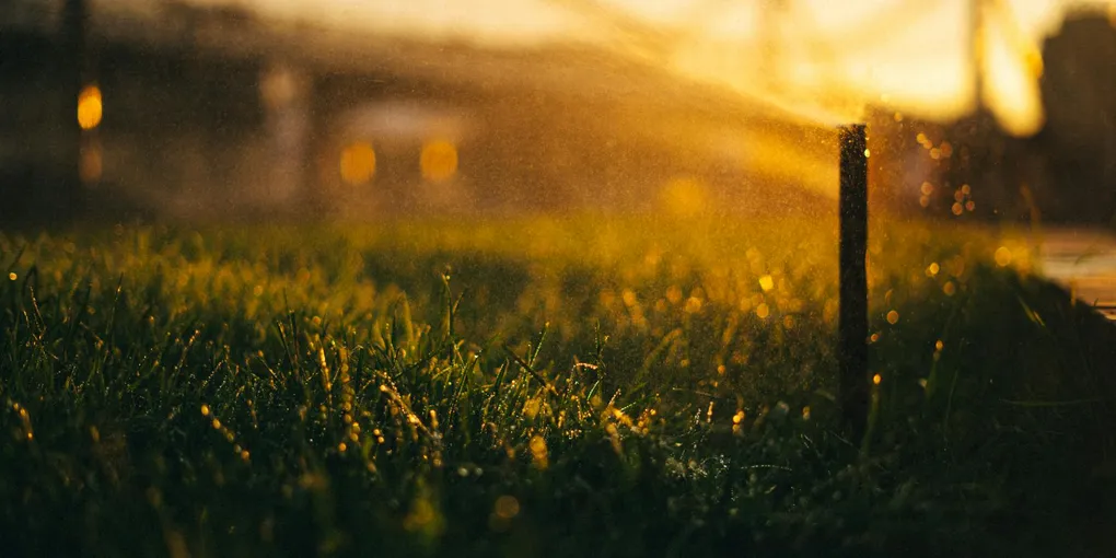 Best Smart Sprinkler Controllers for 2026 (Rachio vs. Rain Bird vs. Orbit)