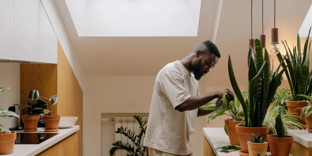 10 Eco-Friendly Home Improvements That Actually Save Money