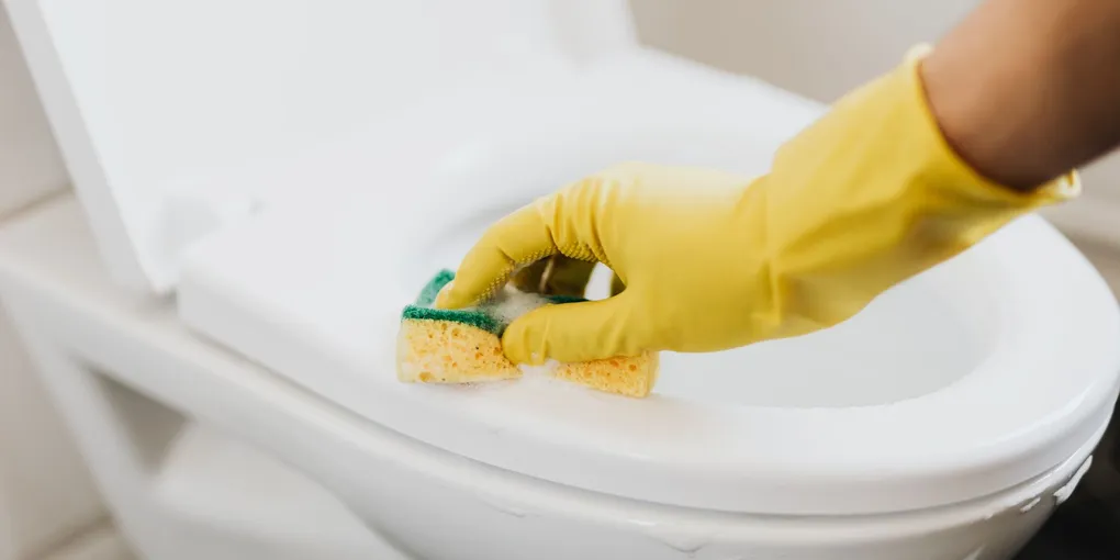 How to Clean a Toilet (The Right Way)