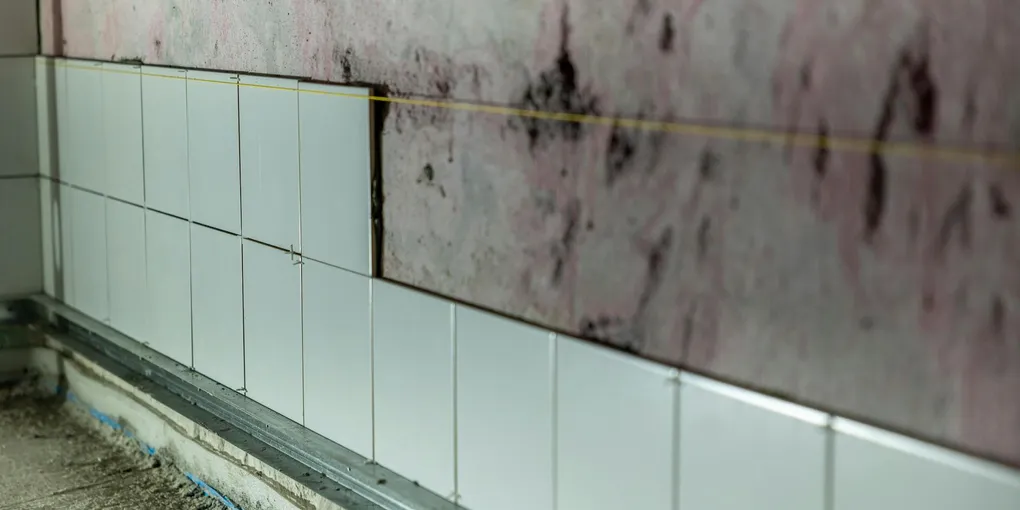 How to Fix a Bathroom Tile That Fell Off (Reattach Without Replacing the Whole Row)
