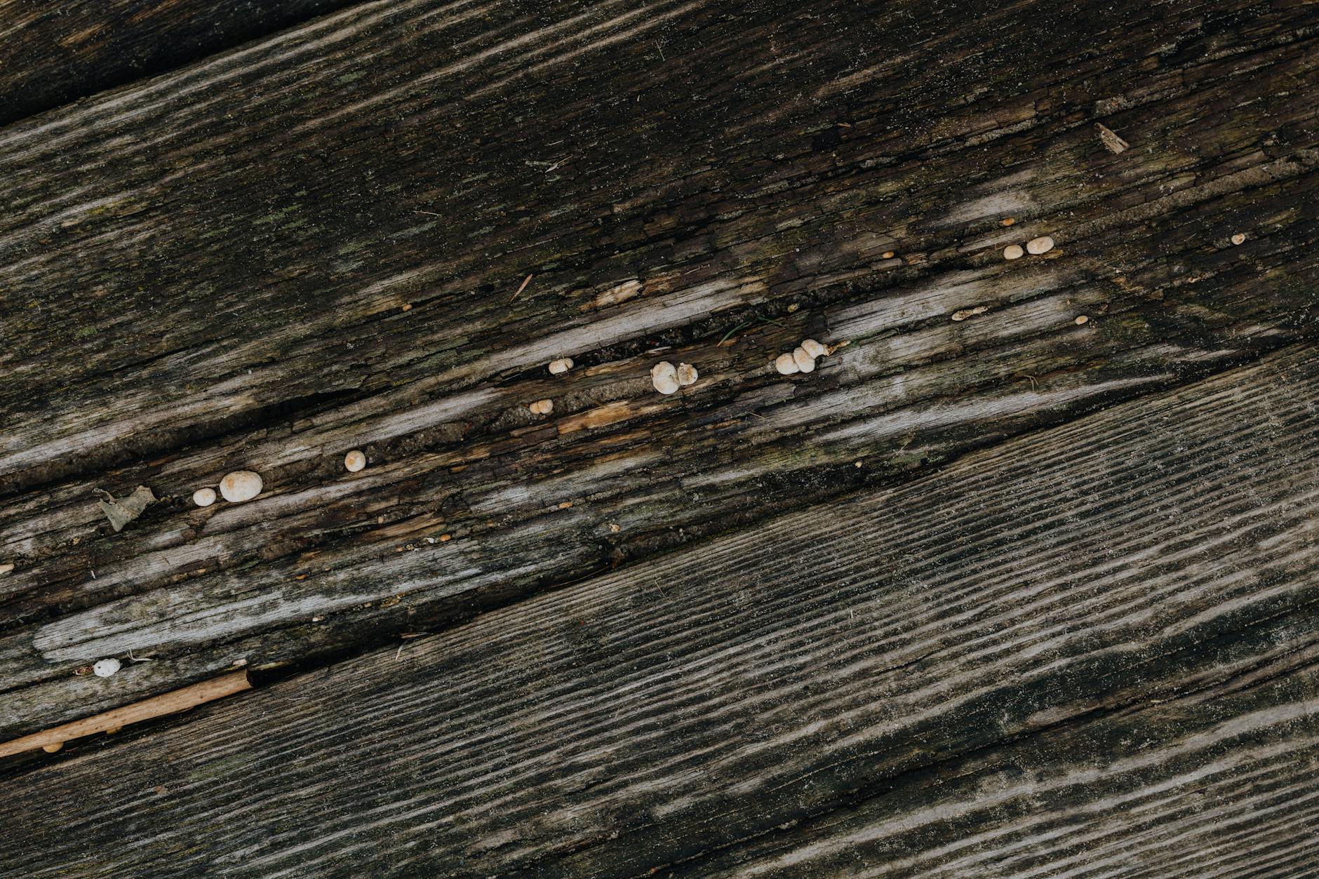 How to Fix a Broken or Loose Deck Railing