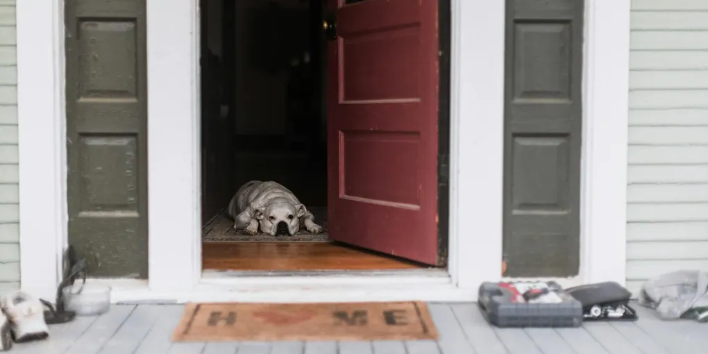How to Fix a Broken Door Threshold in 30 Minutes ($15–$40 Replacement)