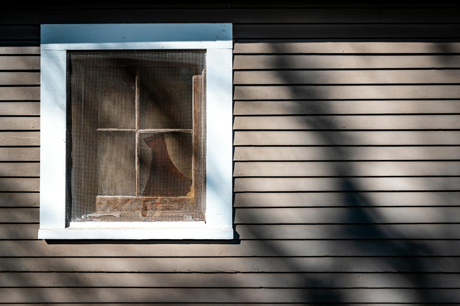 How to Fix a Broken Window Screen: Replace Spline, Screen Mesh, and ...