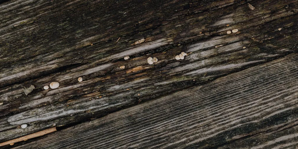 How to Fix a Cracked Floor Joist