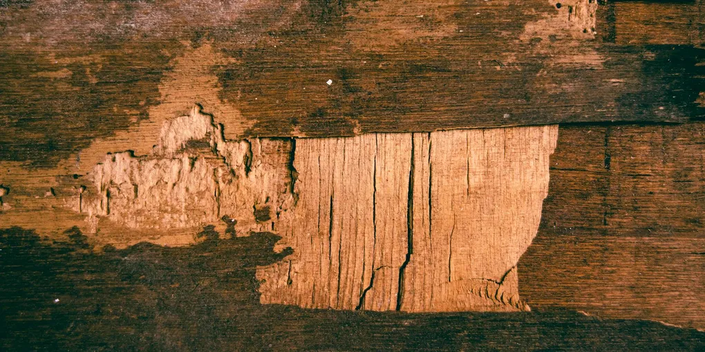How to Fix a Cracked Plywood Subfloor