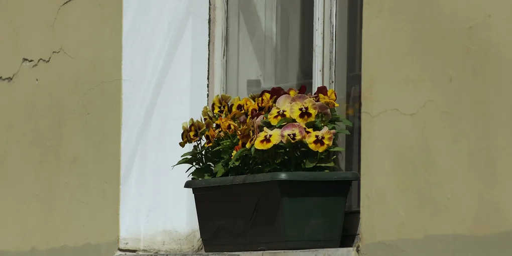 How to Fix a Cracked Window Sill