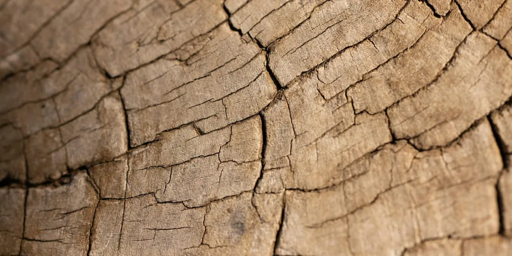 How to Fix a Cracked Wooden Garden Bed