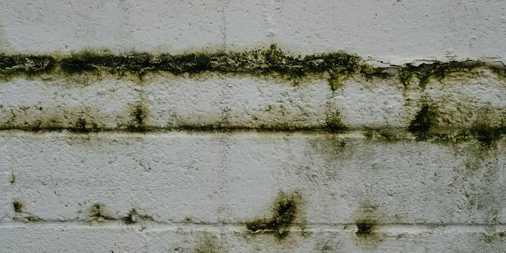 How to Fix a Leaking Basement Crack