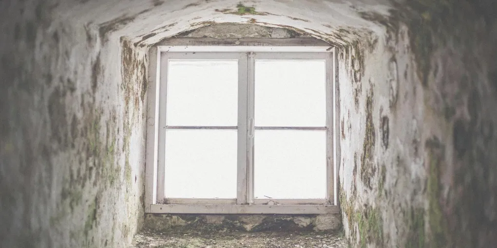 How to Fix a Leaking Basement Window Well