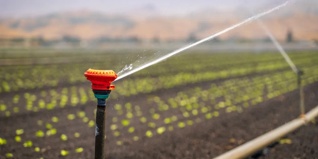 How to Fix a Leaking Irrigation Valve