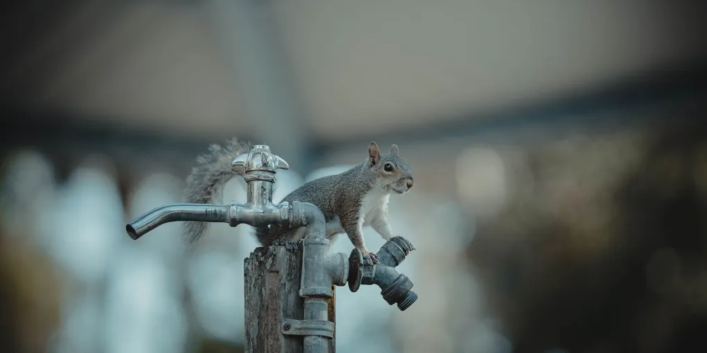 How to Fix a Leaking Outdoor Faucet Stem