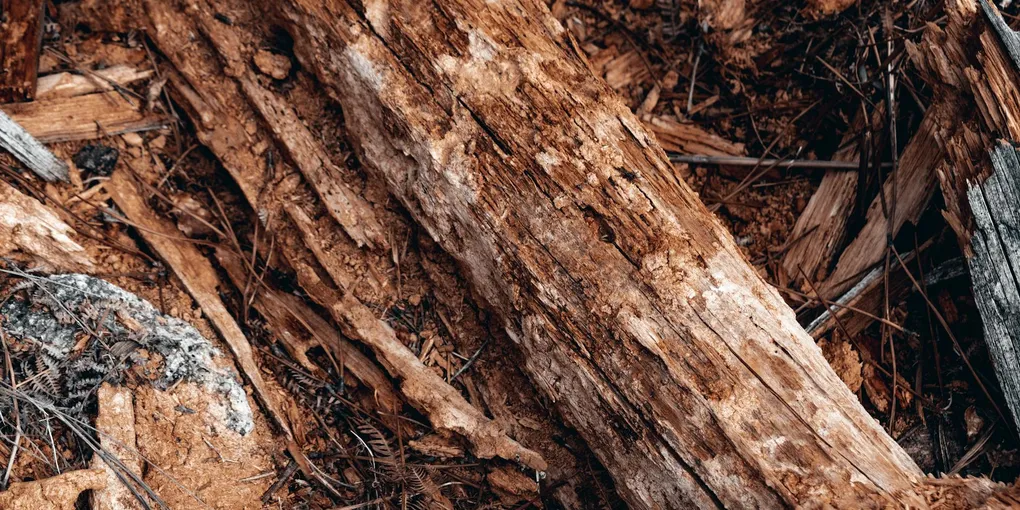 How to Fix a Rotted Deck Ledger Board