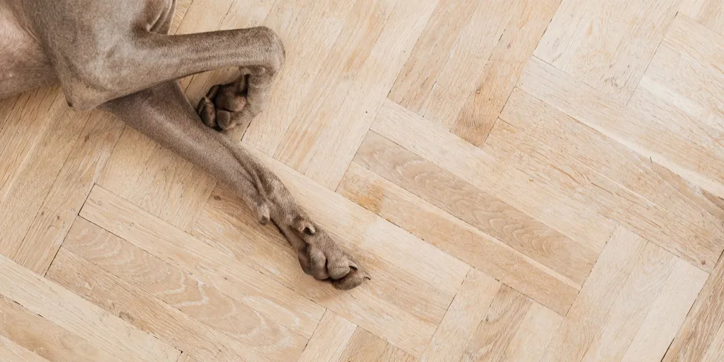How to Fix Squeaky Floors (3 Methods That Actually Work)