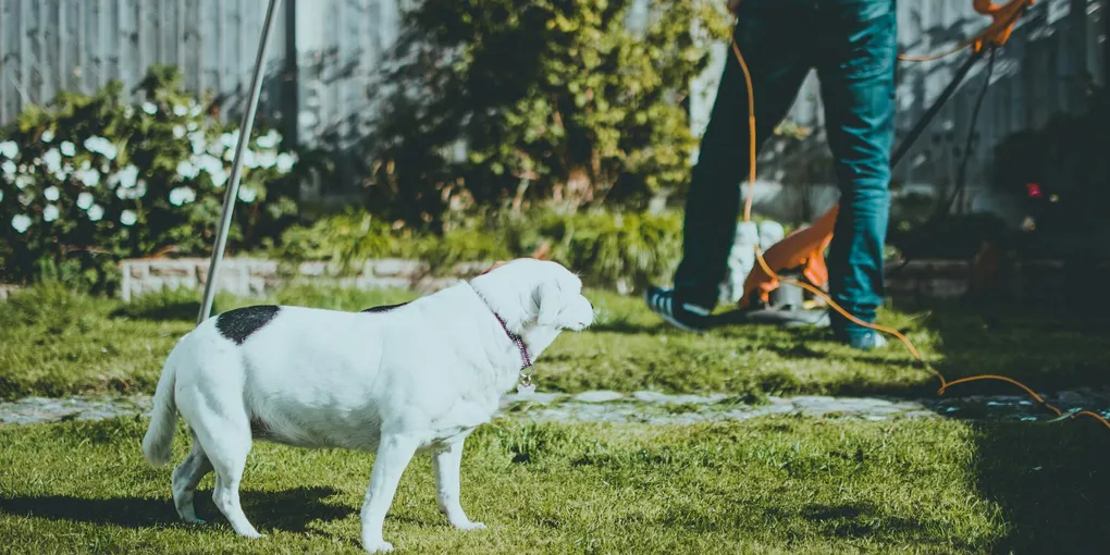 Spring Lawn Care Schedule: The Month-by-Month Plan That Actually Works