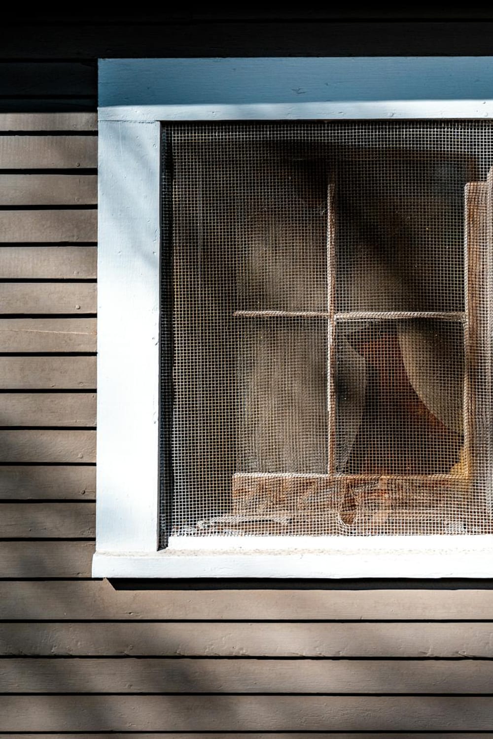 How to Fix a Broken Window Screen: Replace Spline, Screen Mesh, and ...